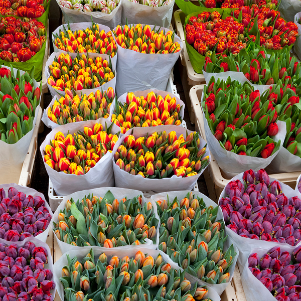 Acheteur(se) / Vendeur(se) - Photo 2