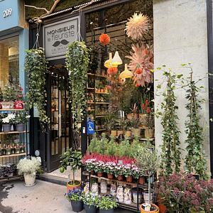 Monsieur le fleuriste 